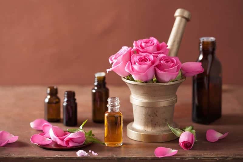 cách làm tinh dầu hoa hồng